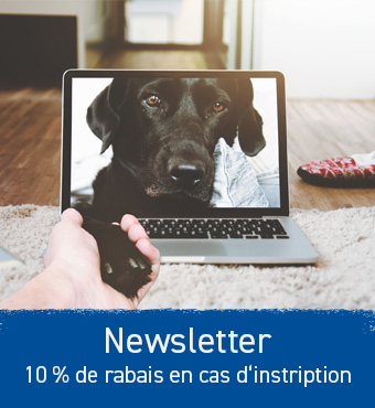 Newsletter