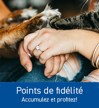 Collecter des points de fidélité