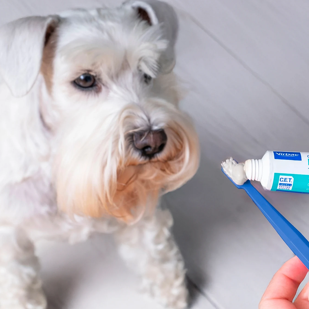 Dentifrice C.E.T. � l�ar�me de volaille pour chiens et chats  de Virbac Image 4