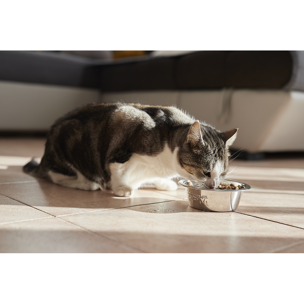 Cat Senior Neutered de Virbac Image 5