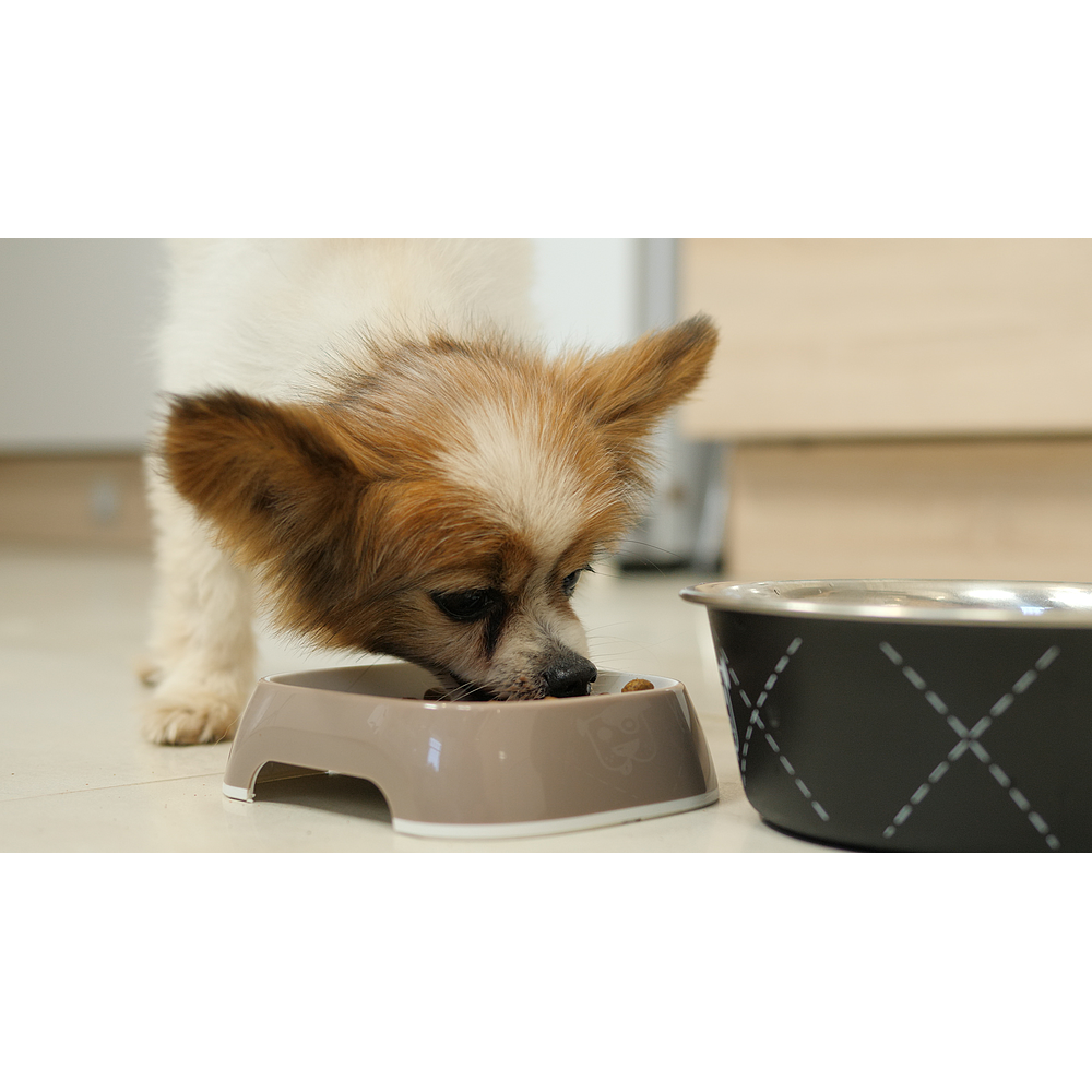 Dog Puppy Small & Toy de Virbac Image 5