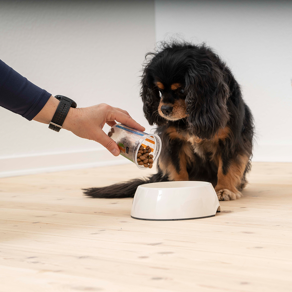 Dog Senior Small & Toy de Virbac Image 5