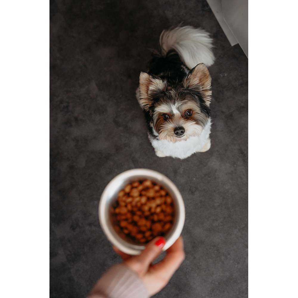 Dog Adult Small & Toy Neutered de Virbac Image 5