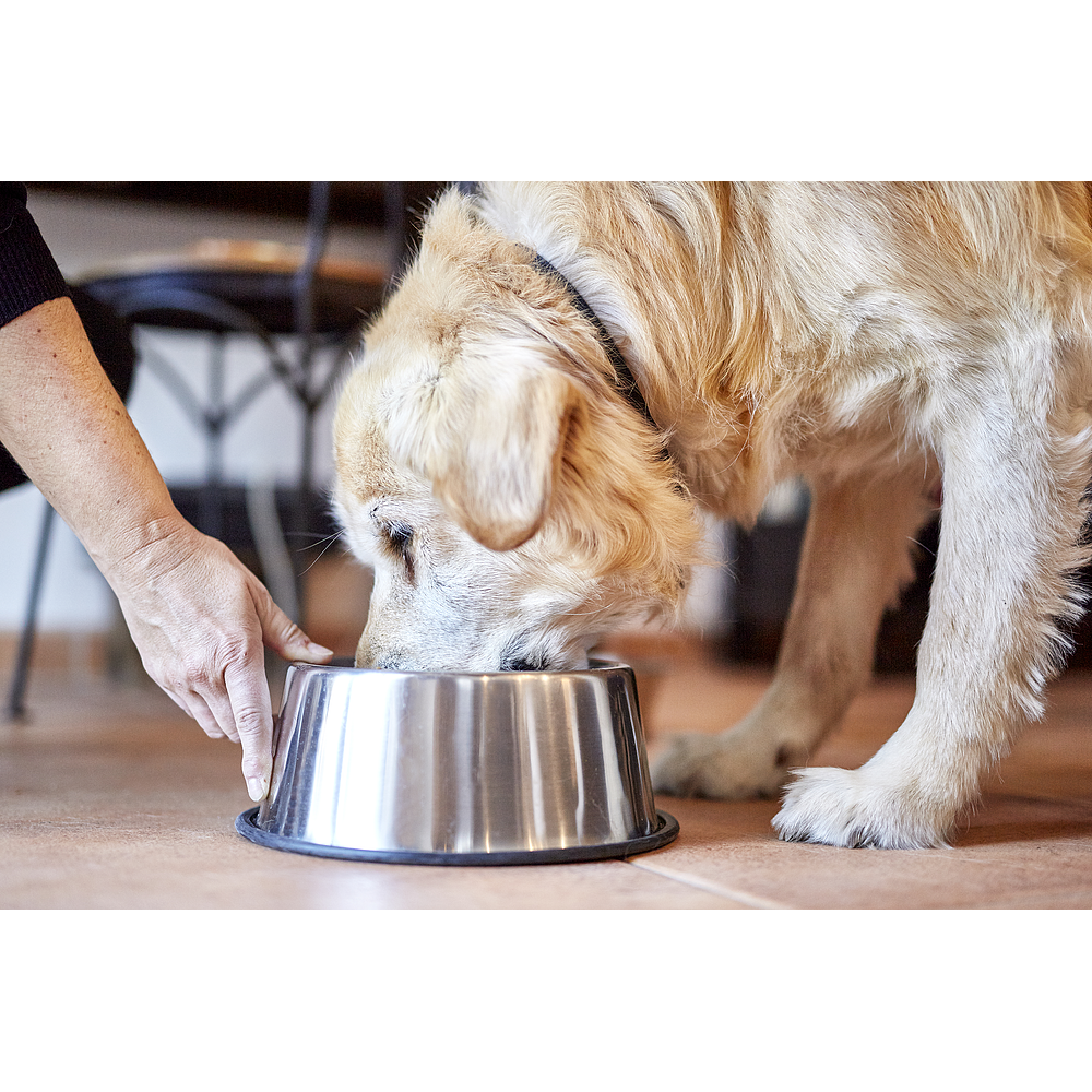 Senior Neutered Dog Large & Medium de Virbac Image 5