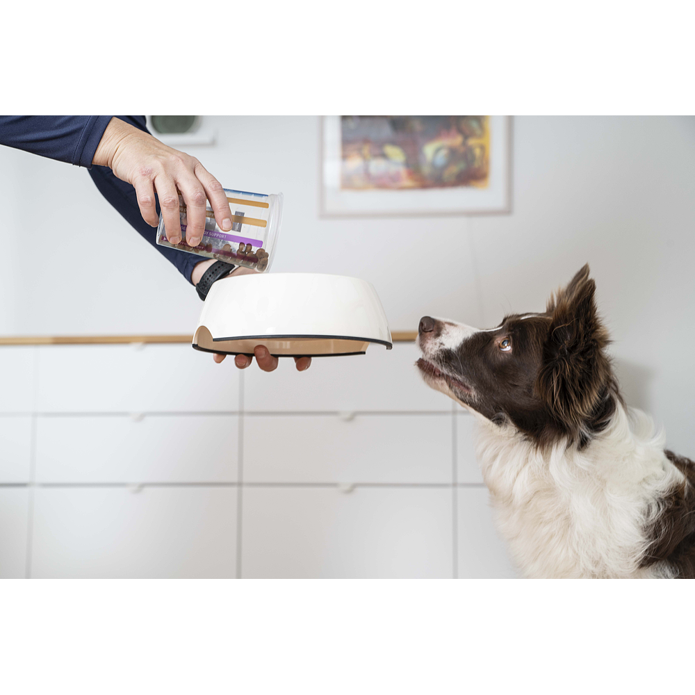 Dog Adult Large & Medium de Virbac Image 5
