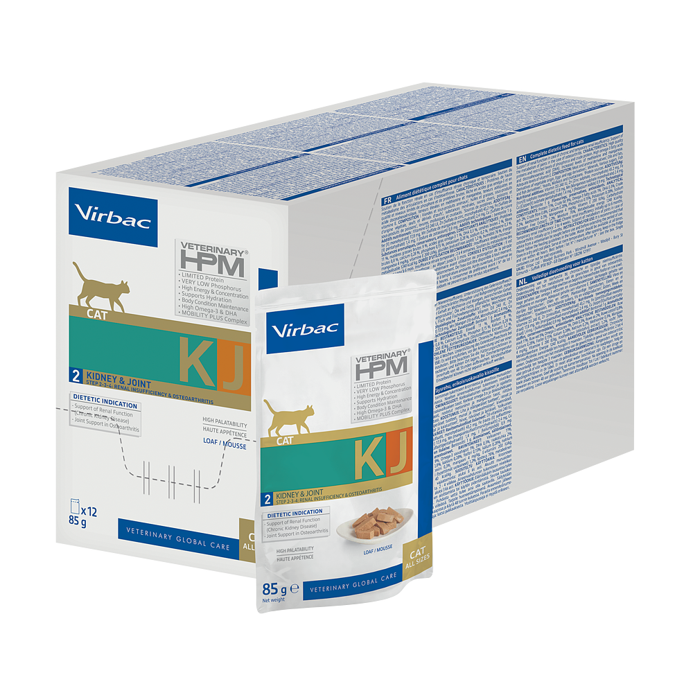 Cat Kidney & Joint KJ2 Wet de Virbac Image 4