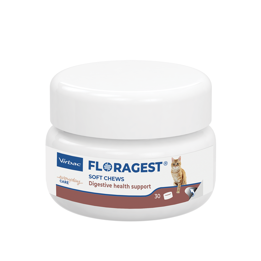 Floragest Chat de Virbac