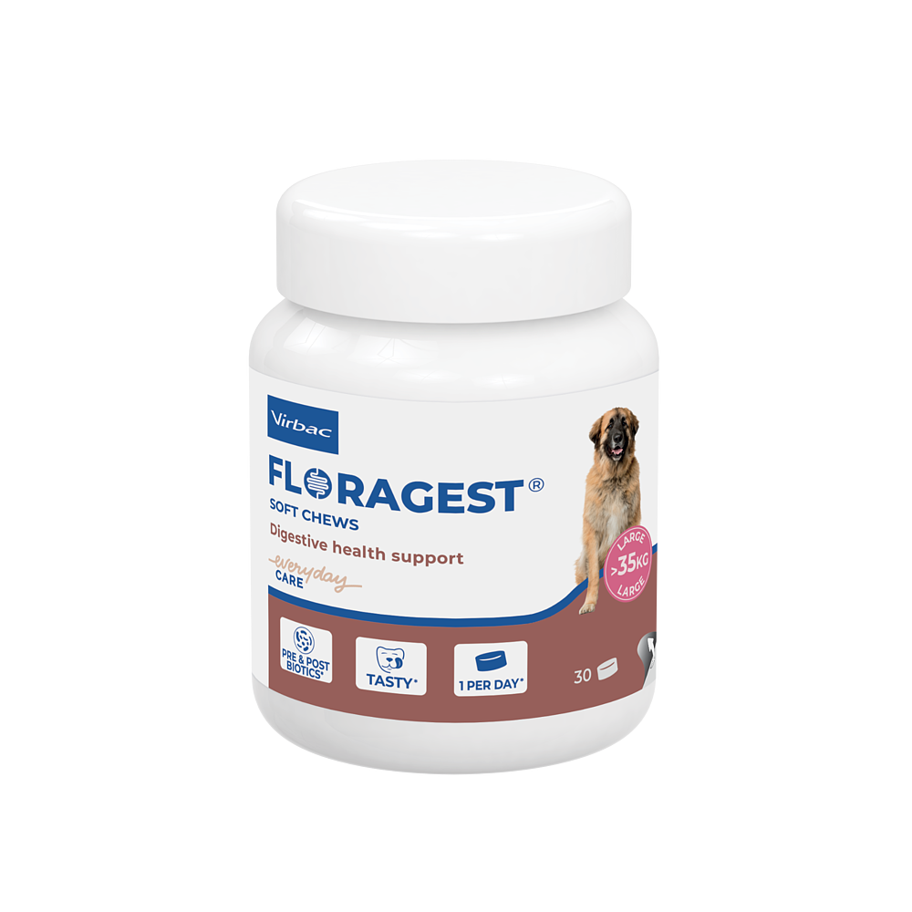 Floragest Chien de Virbac