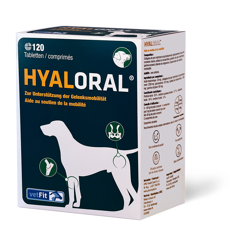 Hyaloral comprimés de Virbac