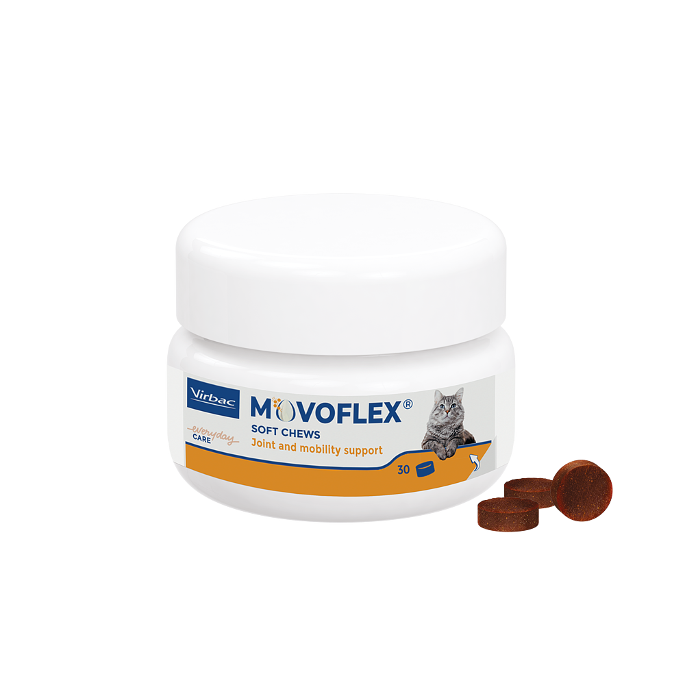 Movoflex Chat de Virbac