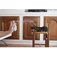 Zenifel Spray de Virbac Image 4