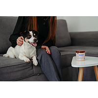 Zenidog Gel Diffuseur de Virbac Image 4