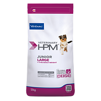 Dog Junior Large de Virbac Image 2
