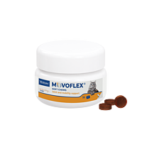 Movoflex Chat de Virbac