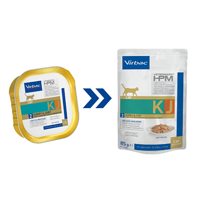 Cat Kidney & Joint KJ2 Wet de Virbac