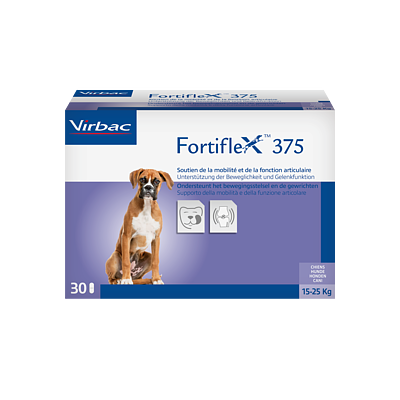 Fortiflex 375 de Virbac