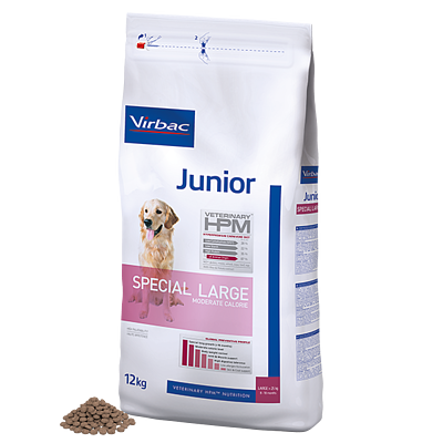 Junior Dog Special Large de Virbac