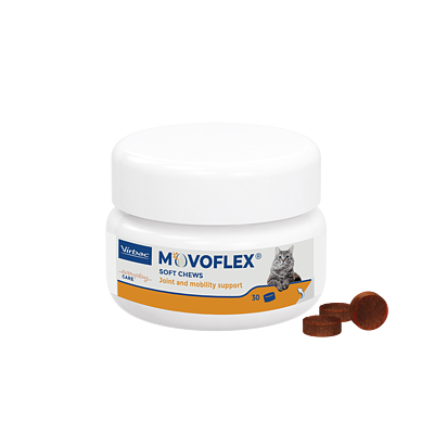 Movoflex Chat de Virbac
